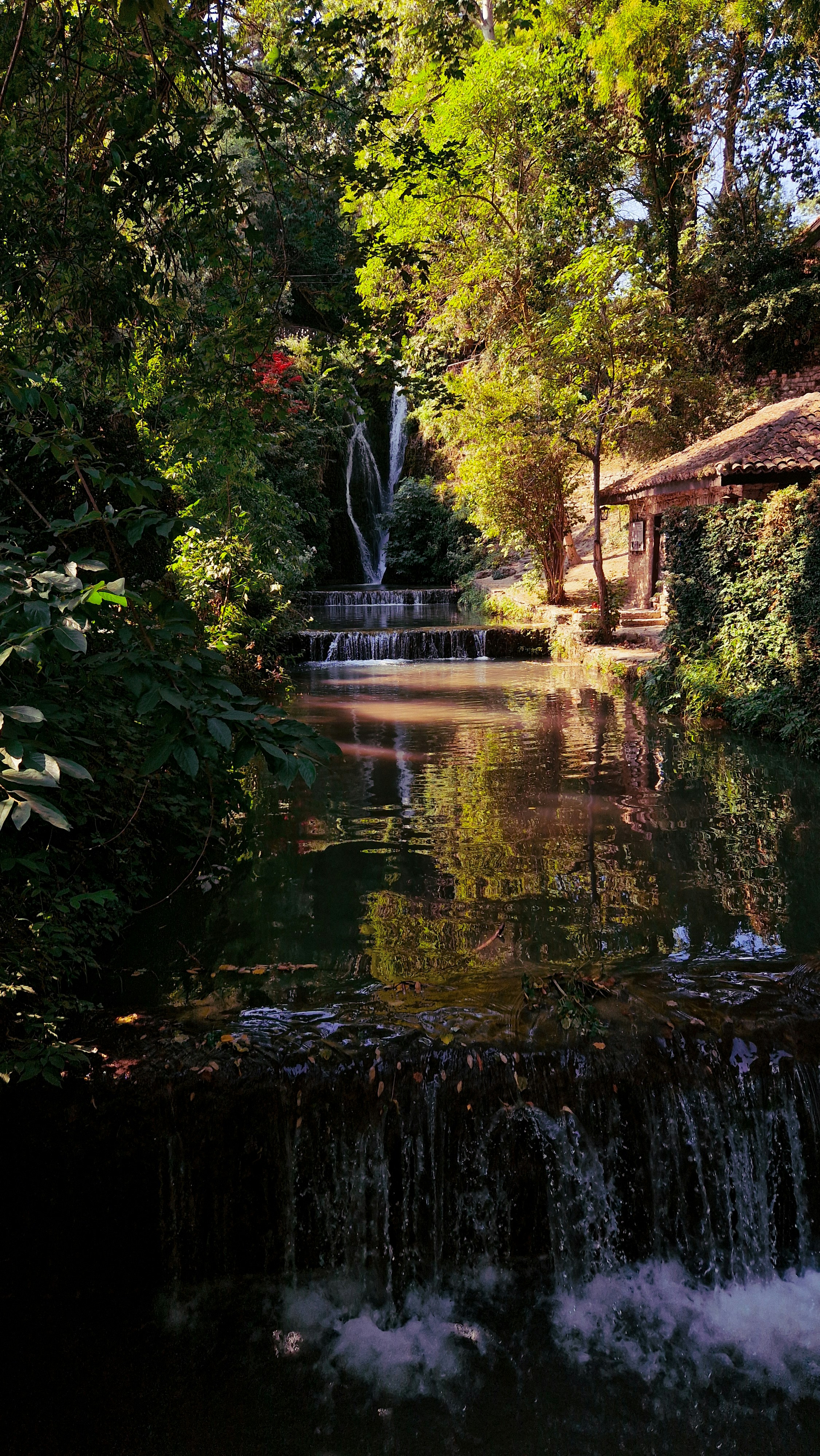 Photo by adelaideandreea