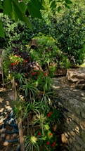 A lush garden scene features vibrant green foliage, red flowers, and a variety of plants cascading over a stone garden wall. The setting includes dappled sunlight filtering through tall trees overhead, casting soft shadows on the ground. A garden hose is coiled at the base of the stone wall, adding to the rustic and natural atmosphere.