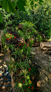 A vibrant garden scene featuring a flexible green garden hose coiled neatly beside blooming flowers under a bright blue sky.