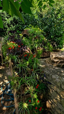 A lush garden scene features vibrant green foliage, red flowers, and a variety of plants cascading over a stone garden wall. The setting includes dappled sunlight filtering through tall trees overhead, casting soft shadows on the ground. A garden hose is coiled at the base of the stone wall, adding to the rustic and natural atmosphere.