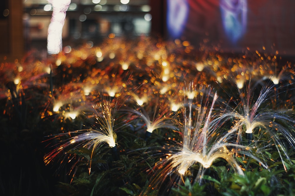 a bunch of fireworks that are in the air