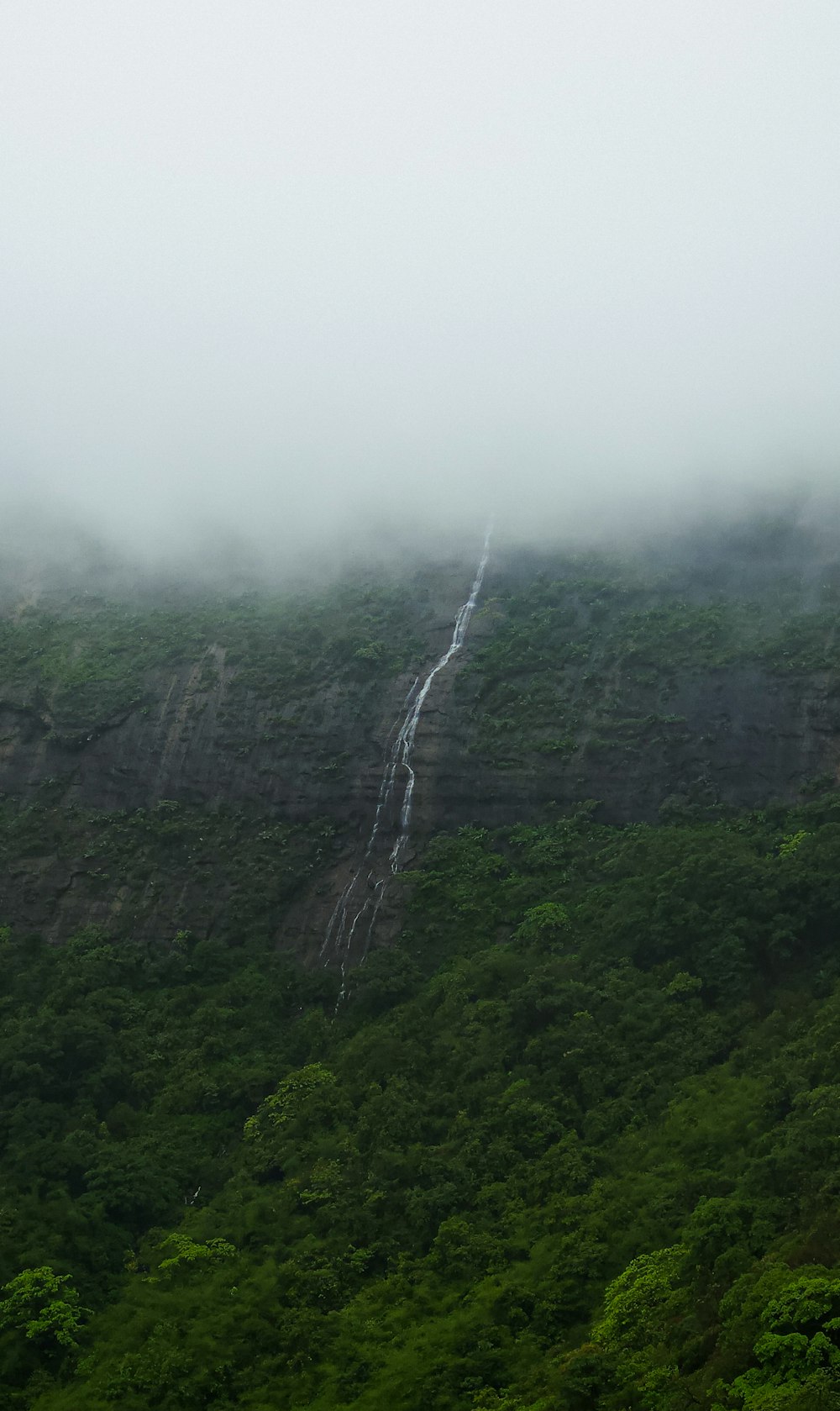 Una cascata molto alta nel mezzo di una lussureggiante foresta verde