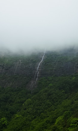 A misty, forested landscape with a small waterfall cascading down the side of a lush, green mountain. The top of the mountain is shrouded in fog, creating a serene and tranquil atmosphere.
