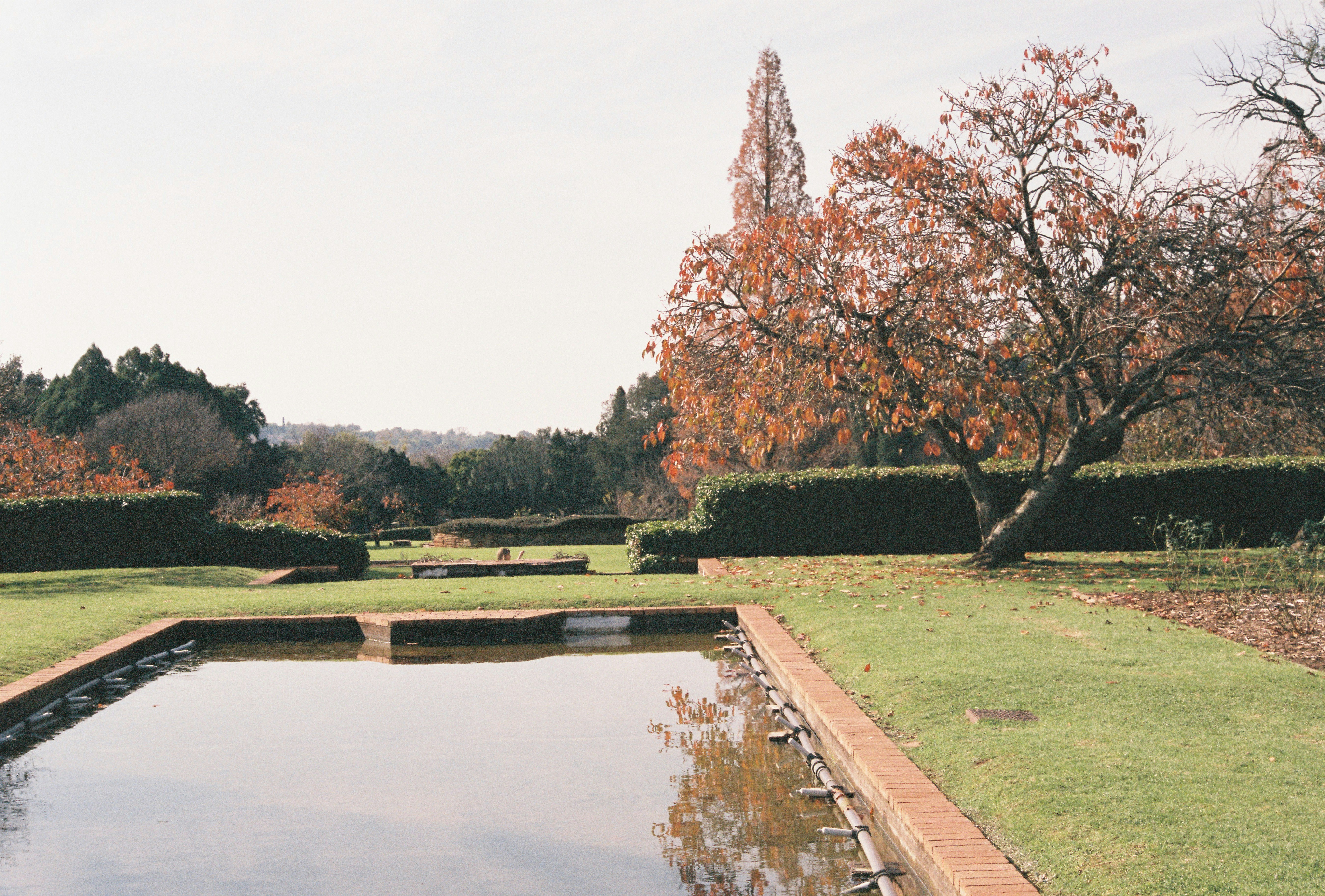 Fujicolor 400 garden design