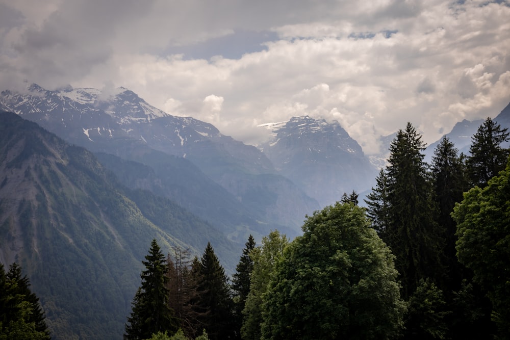 a view of a mountain range with trees in the foreground