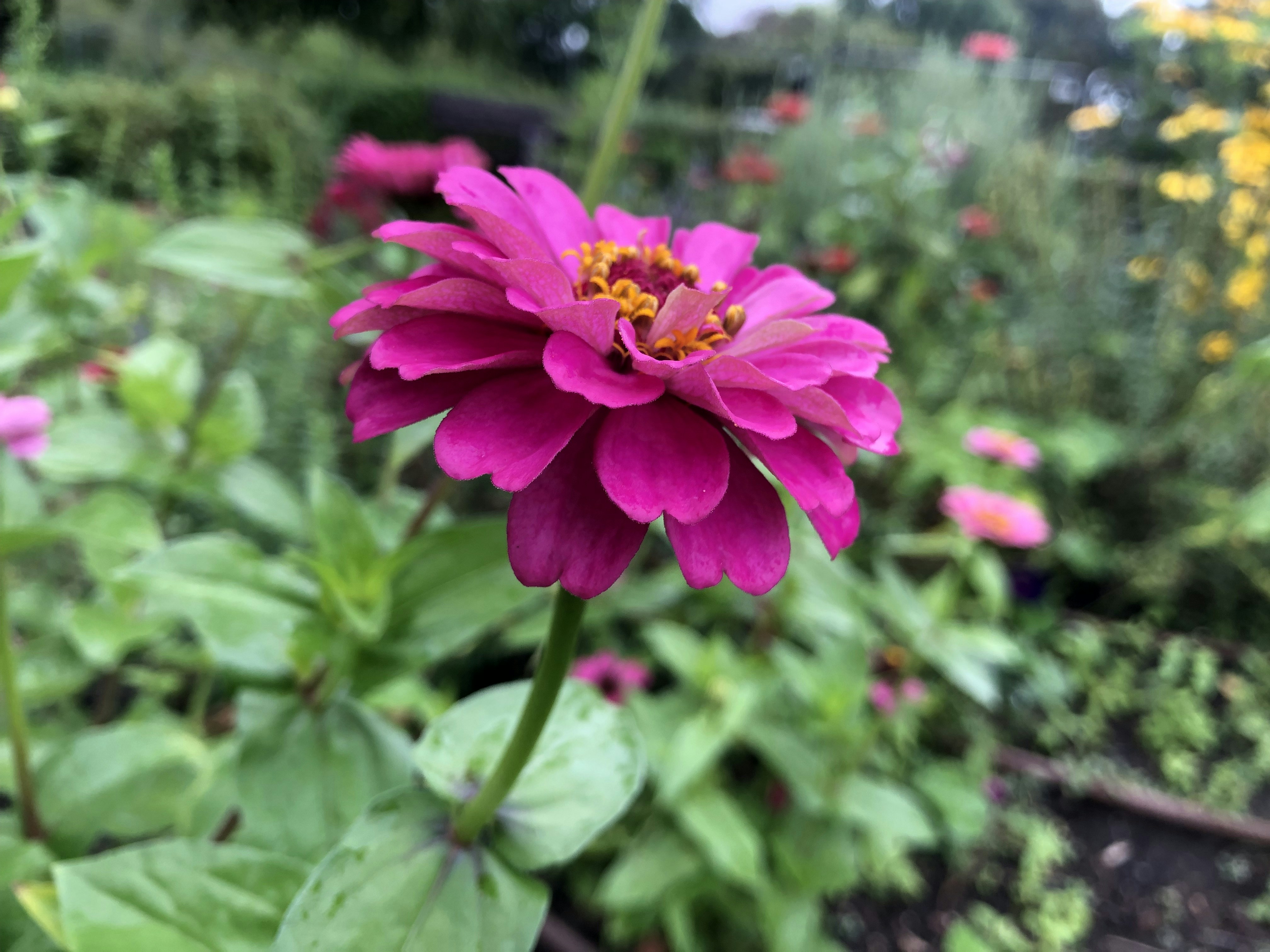 Photo by bruno_caetanos_photography