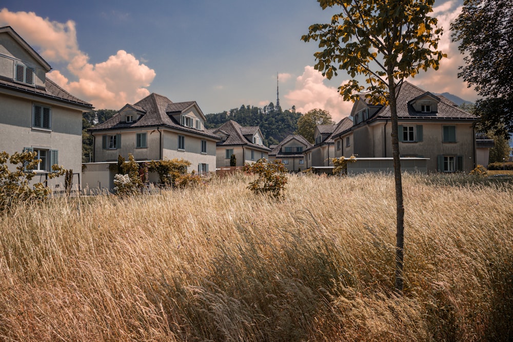 a grassy field with houses in the background