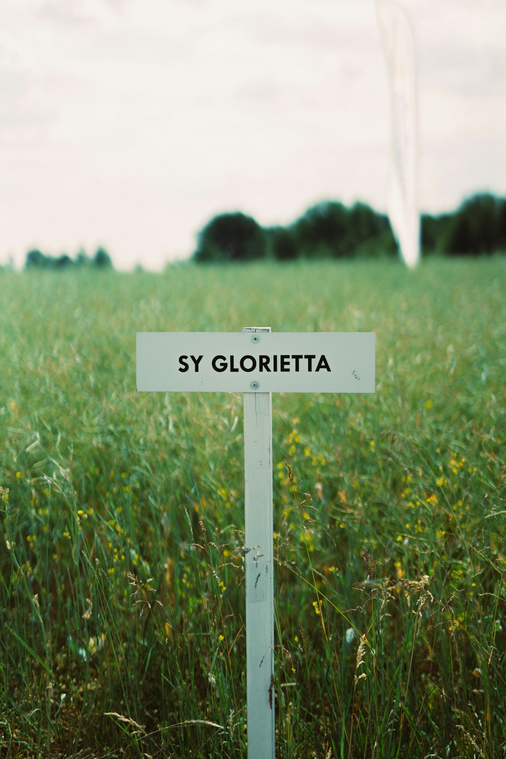 a white street sign sitting in the middle of a lush green field