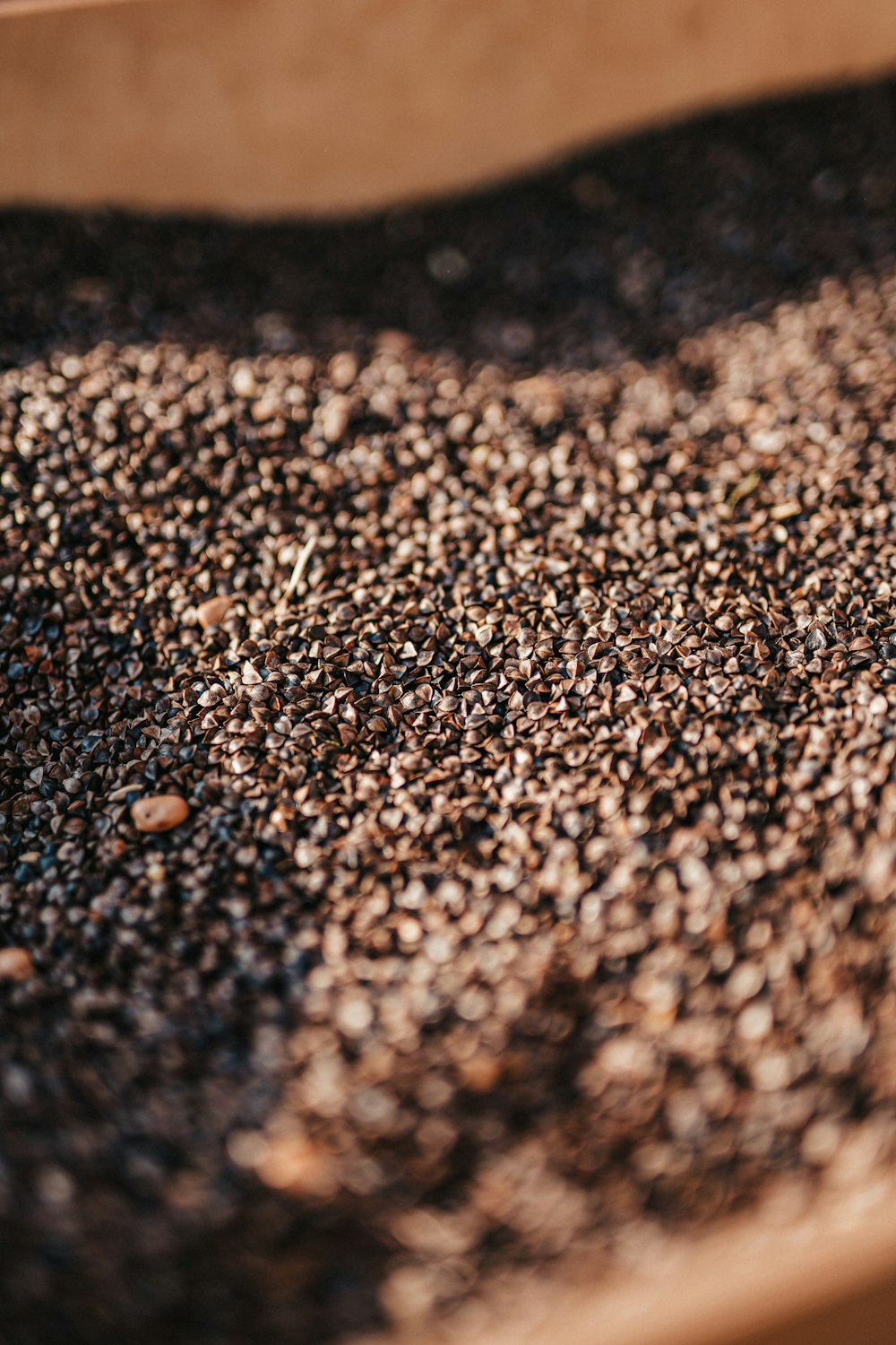 a close up of a box filled with seeds