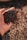 A close-up of a hand holding a small pile of dark buckwheat seeds. The background shows a blurred surface covered in more seeds, suggesting abundance.