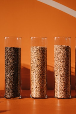 Four tall glass cylinders are filled with different types of grains and seeds, placed against a solid orange background. The contents range in color from dark brown to light beige, creating a contrast with the vibrant hue behind them.
