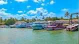 Vibrant image of colorful boats docked in a tropical Brazilian beach with palm trees and crystal clear water