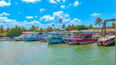 Vibrant image of colorful boats docked in a tropical Brazilian beach with palm trees and crystal clear water