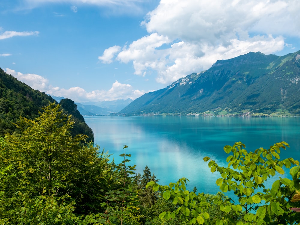 a scenic view of a lake surrounded by mountains