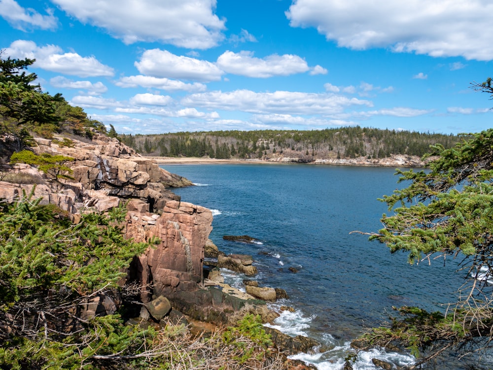 a body of water surrounded by trees and rocks