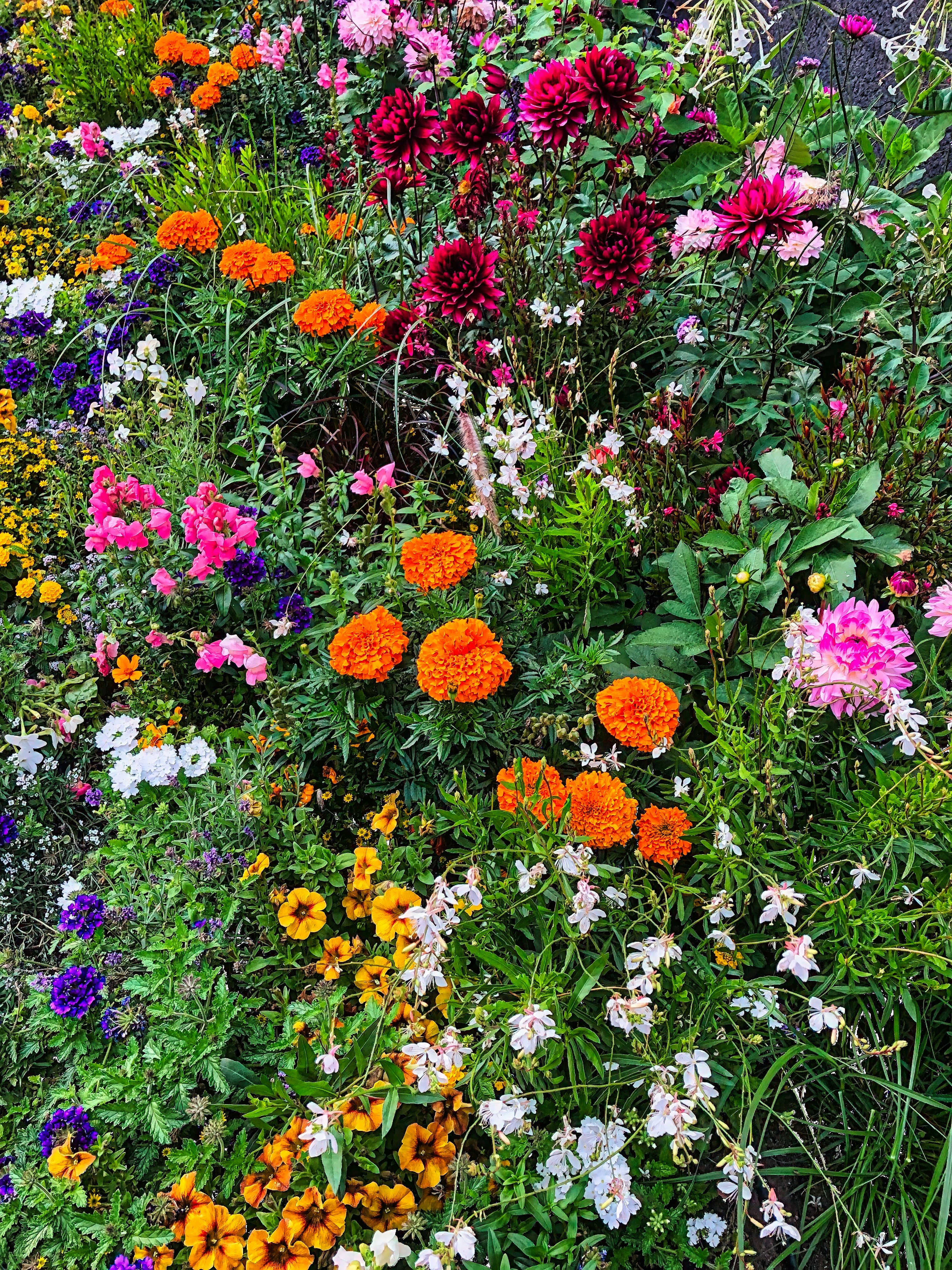 Photo by torben_gettermann