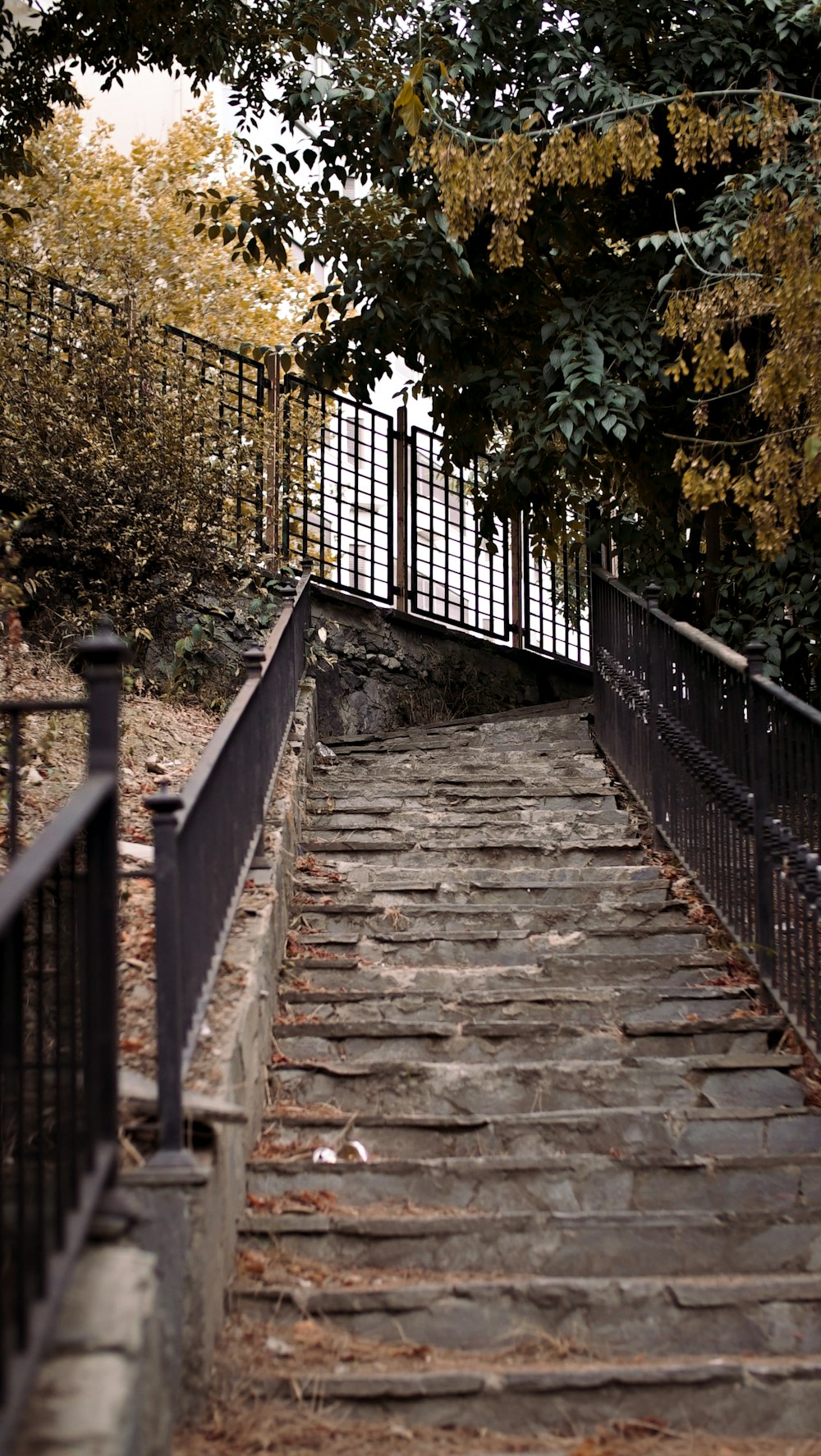 a set of stairs leading up to a gate