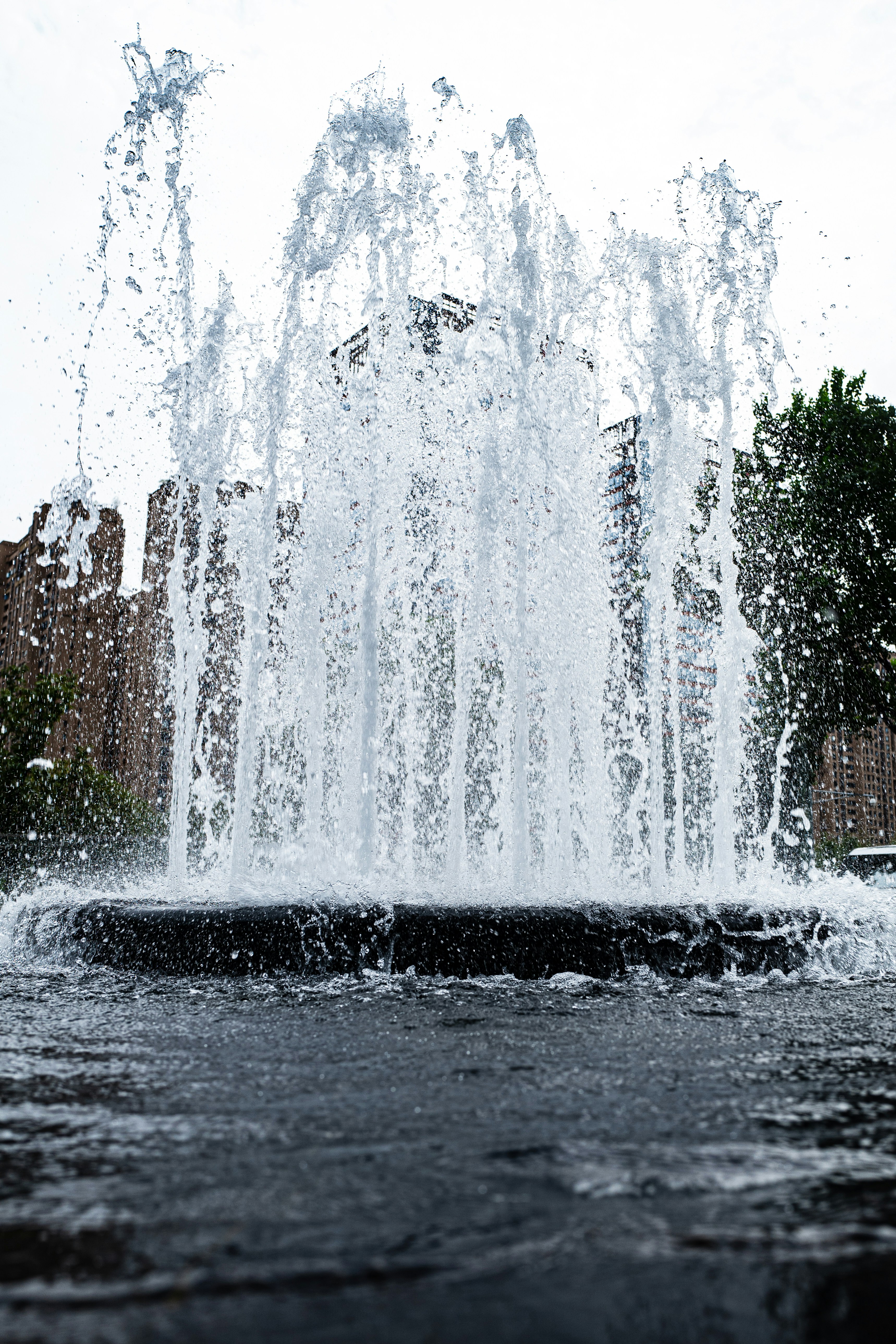 Photo by xingchenyan