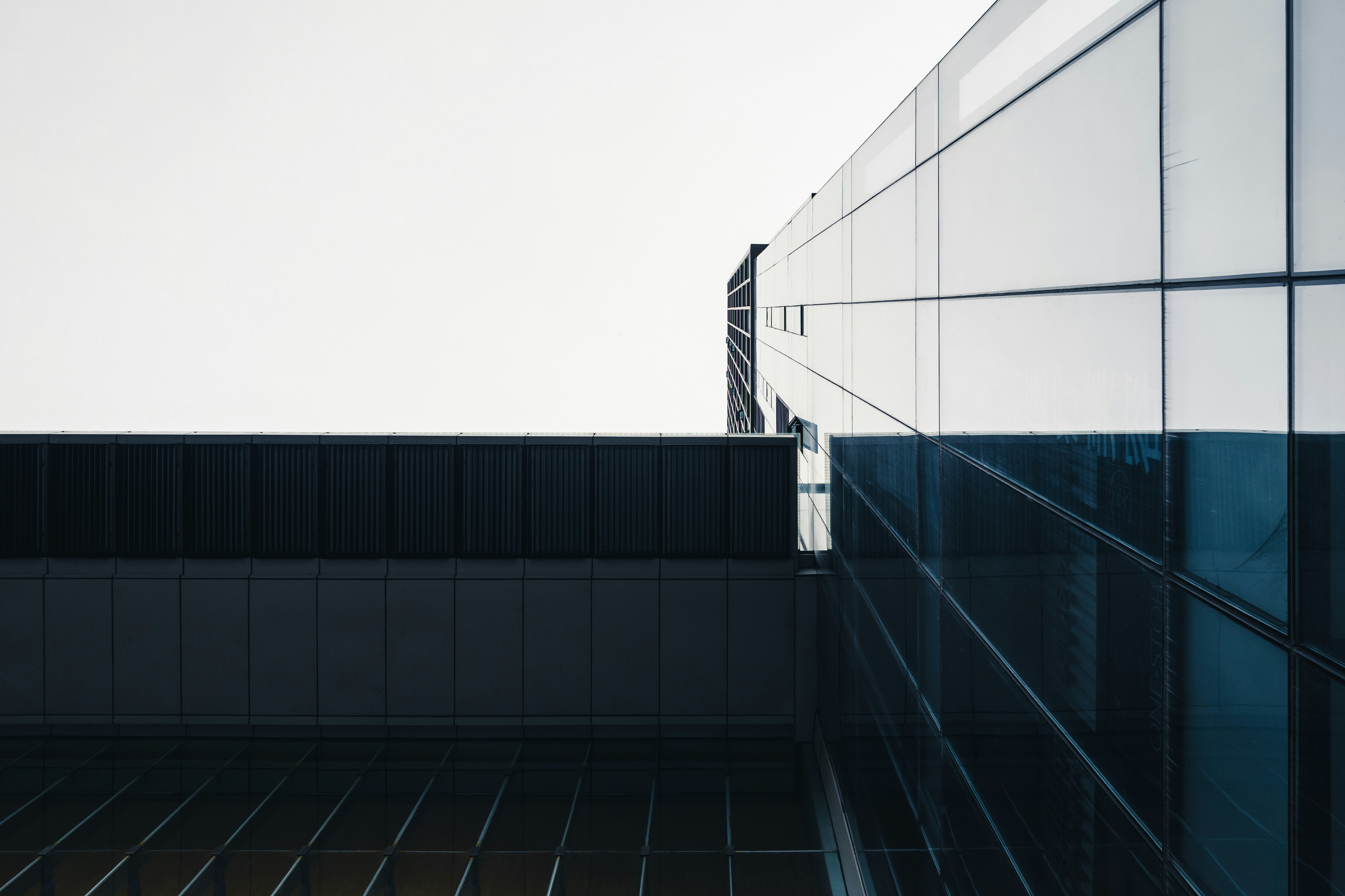 Photo by xingchenyan