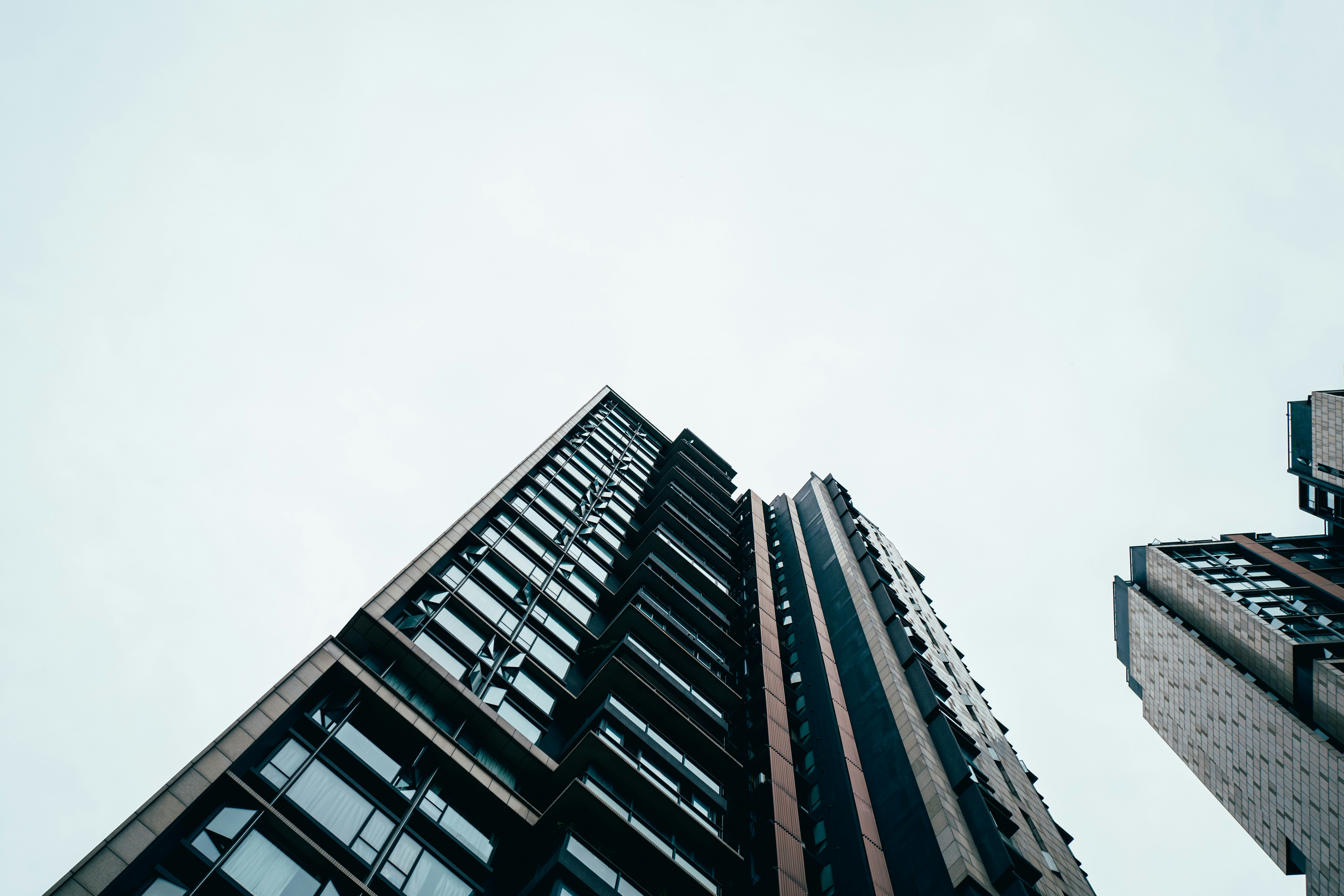 Photo by xingchenyan