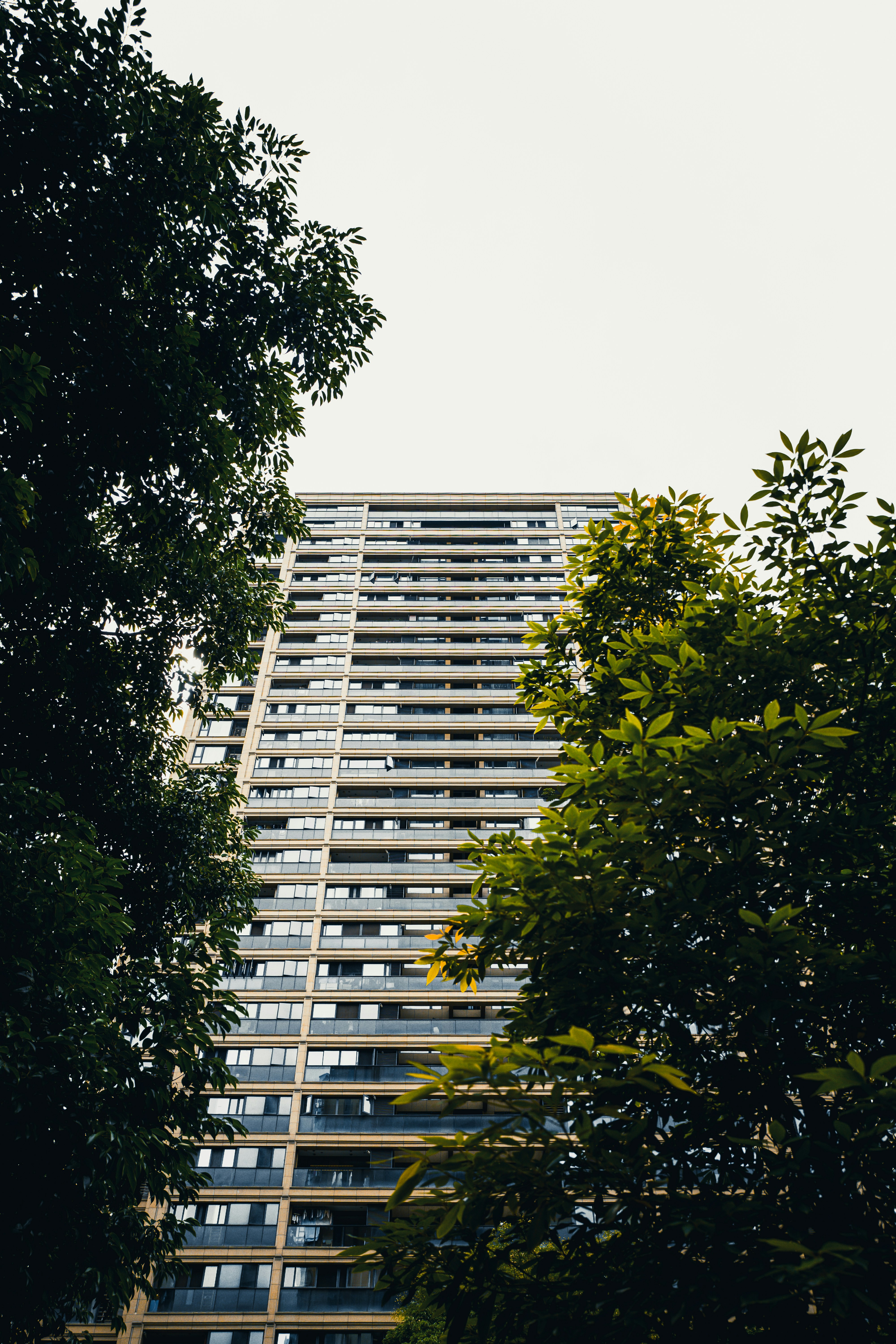 Photo by xingchenyan