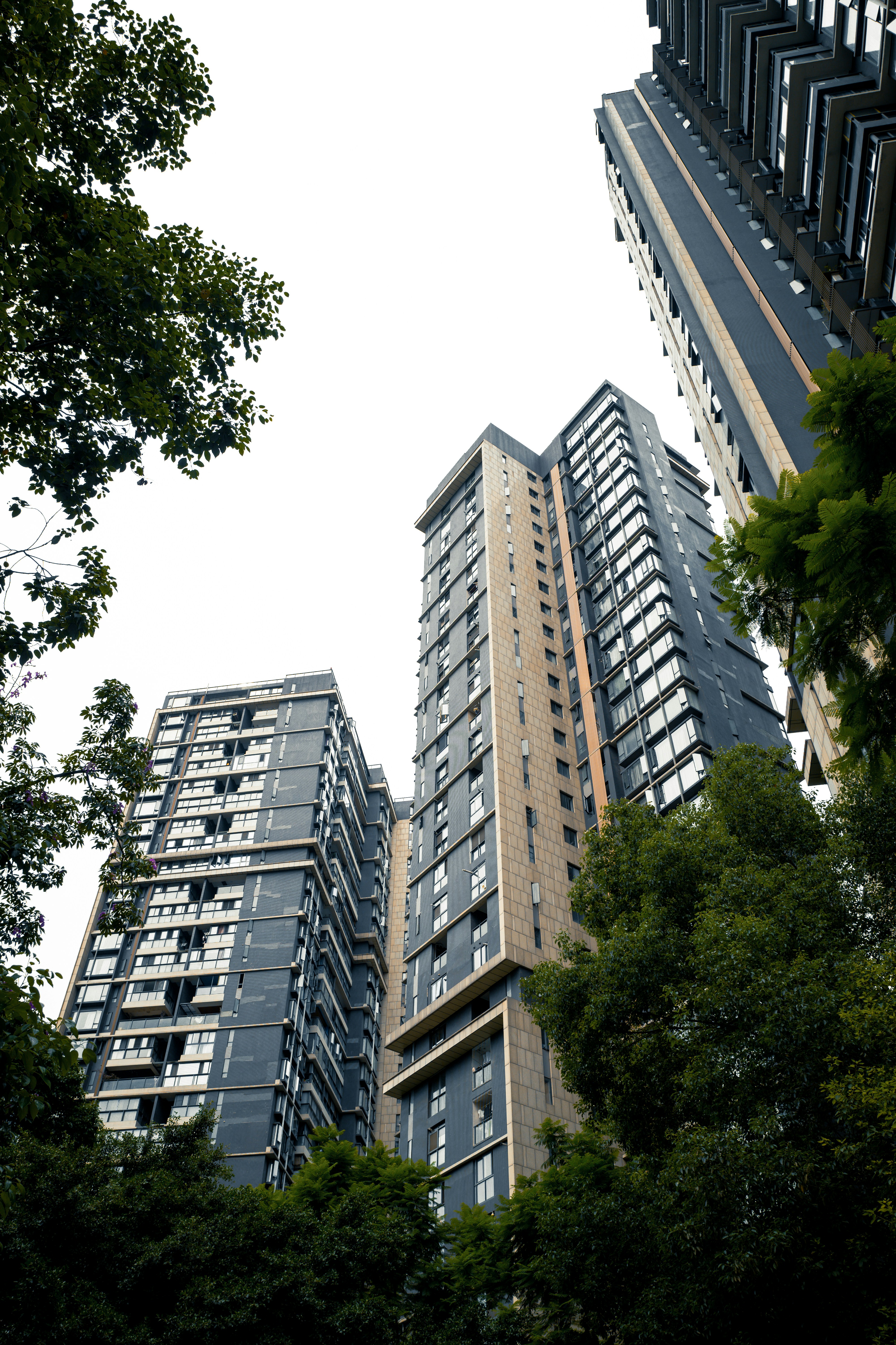 Photo by xingchenyan