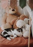 A cozy image of plush cat toys that provide comfort.