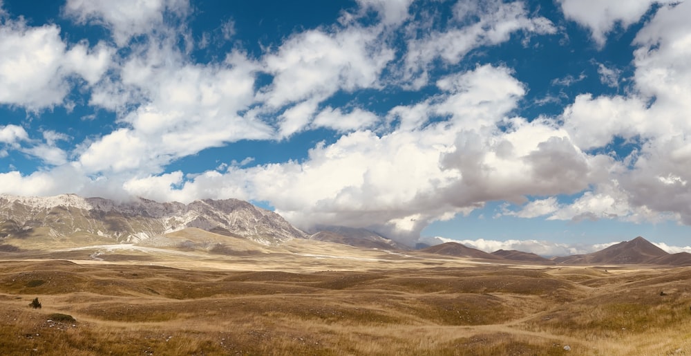 a field with mountains in the background under a cloudy sky