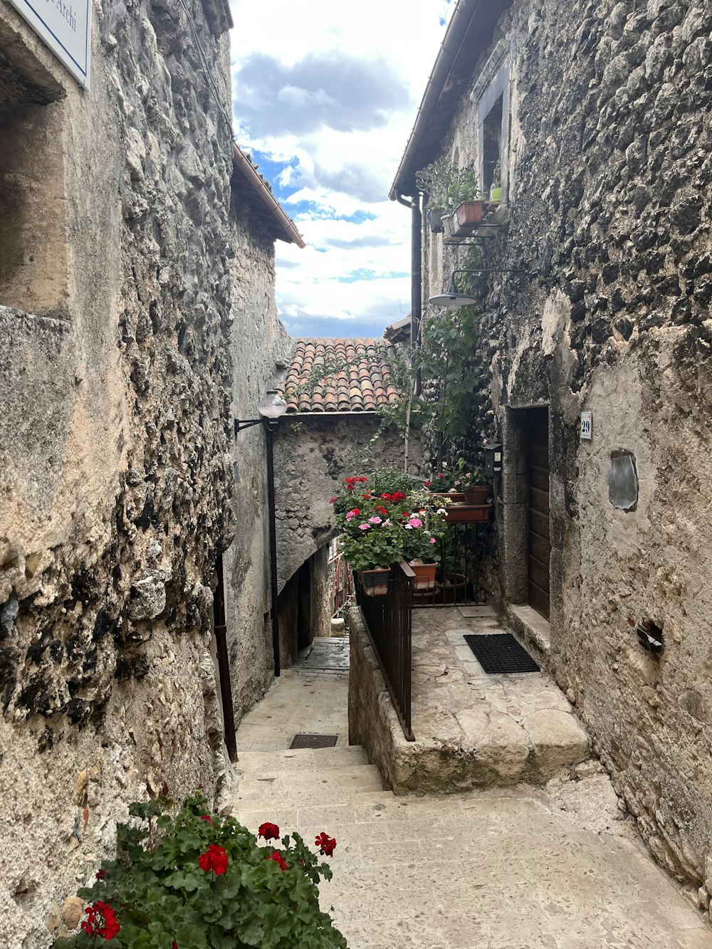 a narrow alley way with a potted plant in the middle