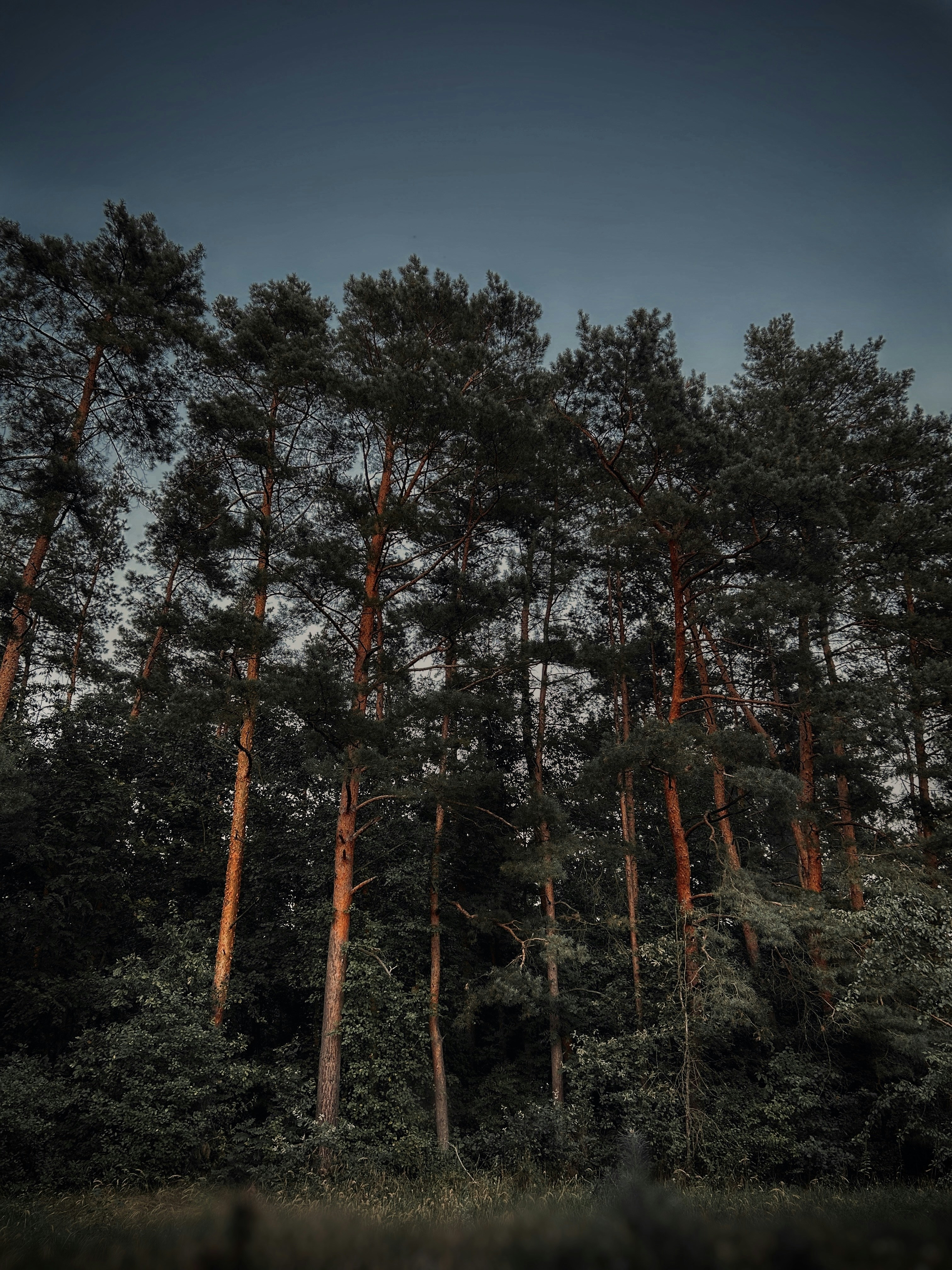 Photo by arthur_oleynik