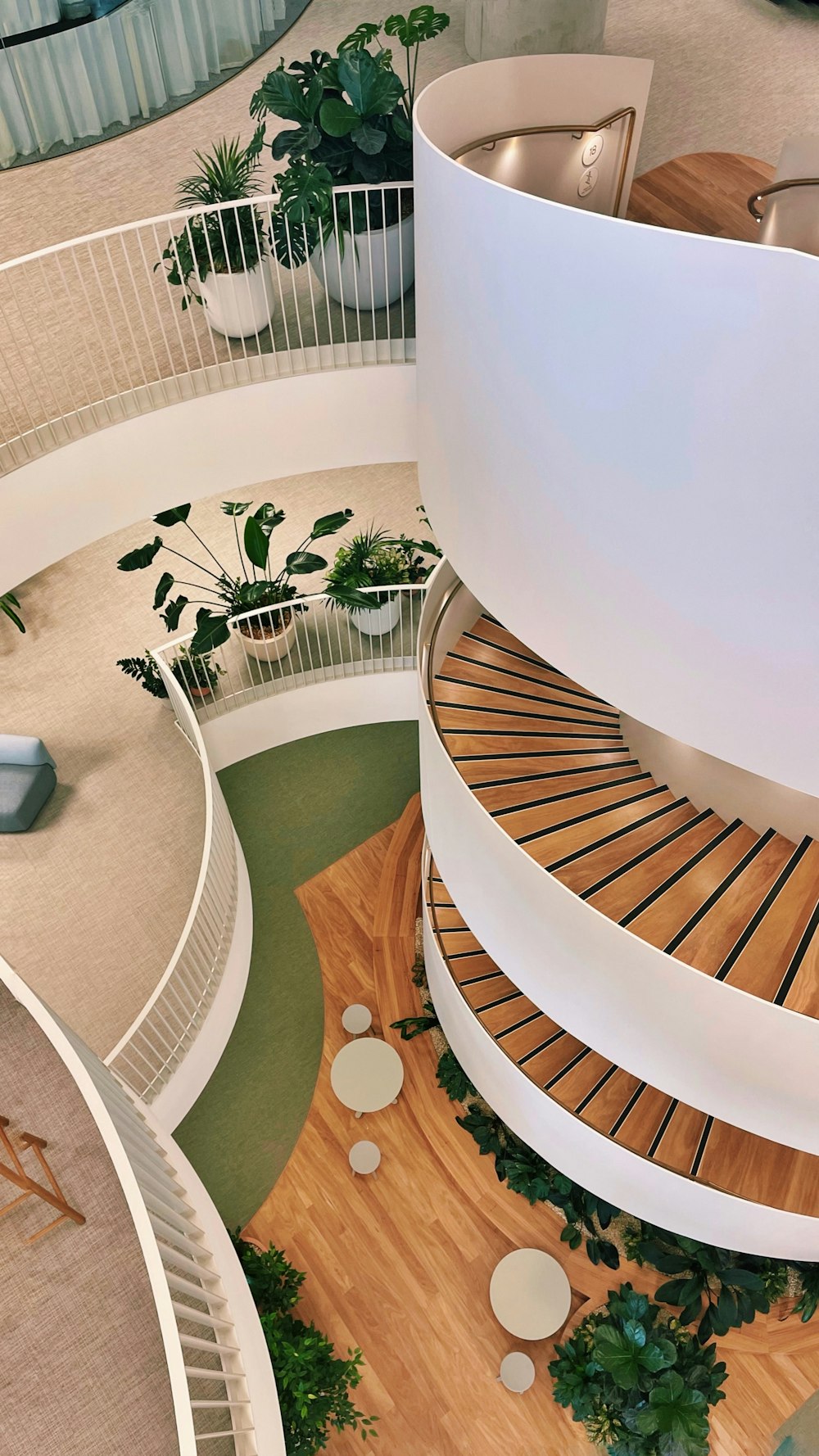 a view of a spiral staircase in a building