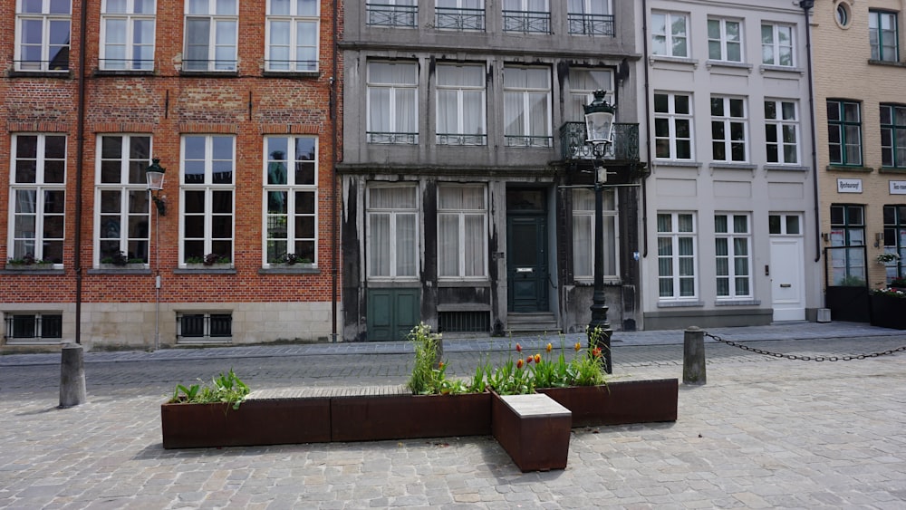 a row of buildings with a planter in front of them