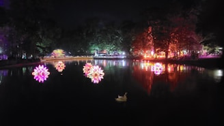 Underwater pool lights illuminating a tranquil artificial pond at night.