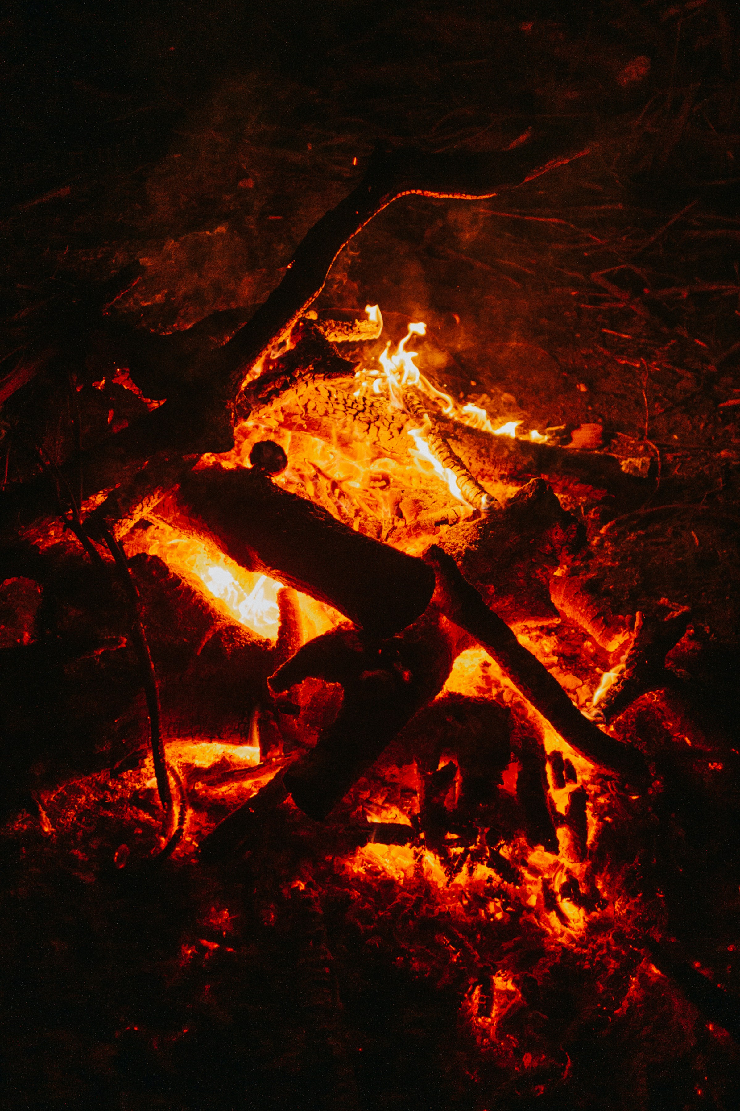 Photo by ellecartier