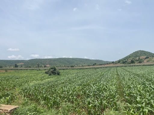 A friendly agricultural consultant speaking with a farmer in a green field under a clear sky.