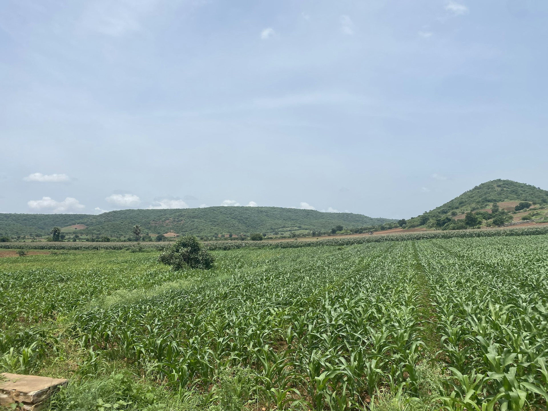 gray computer monitor