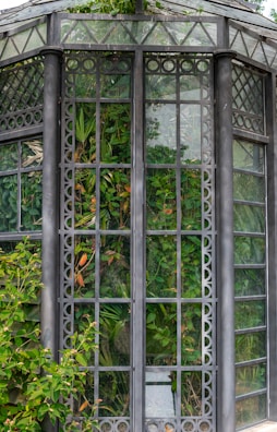 An elaborately designed glass greenhouse structure with black framework and intricate patterns. The glass panes reveal a lush collection of green plants and foliage inside. The structure also appears to be partially framed with creeping plants on the outside.