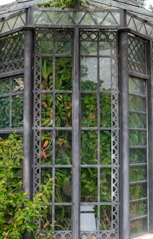 An elaborately designed glass greenhouse structure with black framework and intricate patterns. The glass panes reveal a lush collection of green plants and foliage inside. The structure also appears to be partially framed with creeping plants on the outside.
