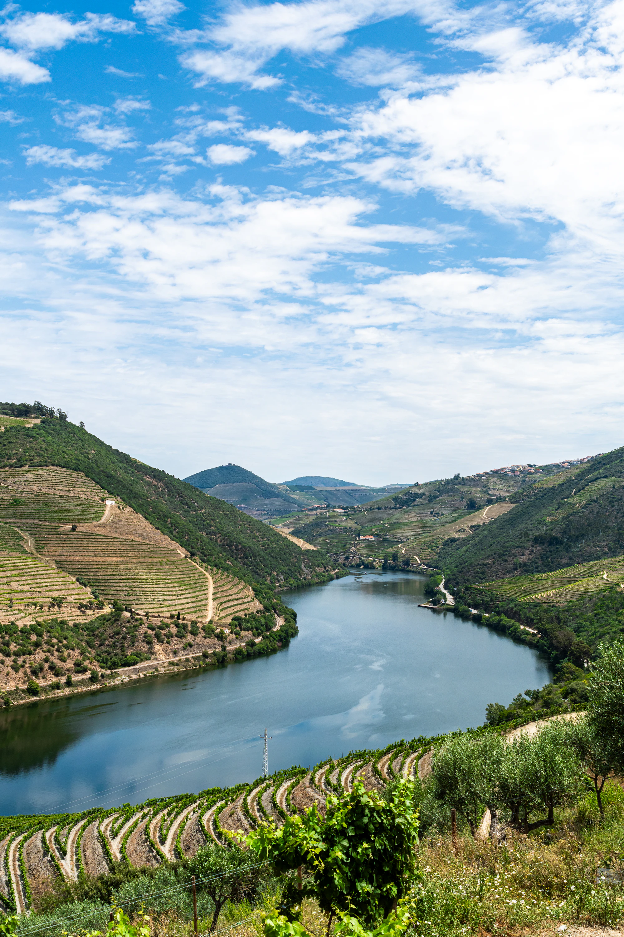 Imagem stock temporária do rio Douro entre vinhas e socalcos.