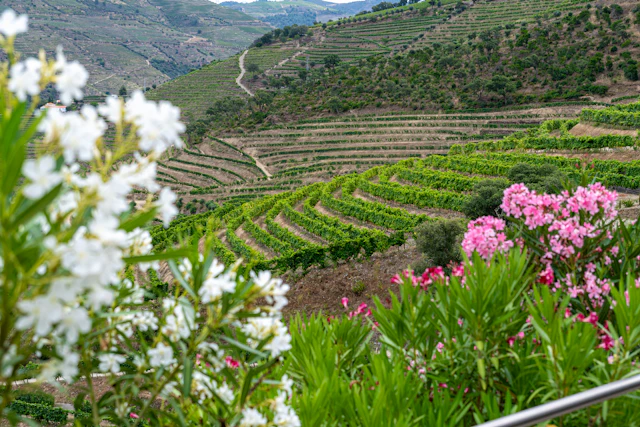 Douro