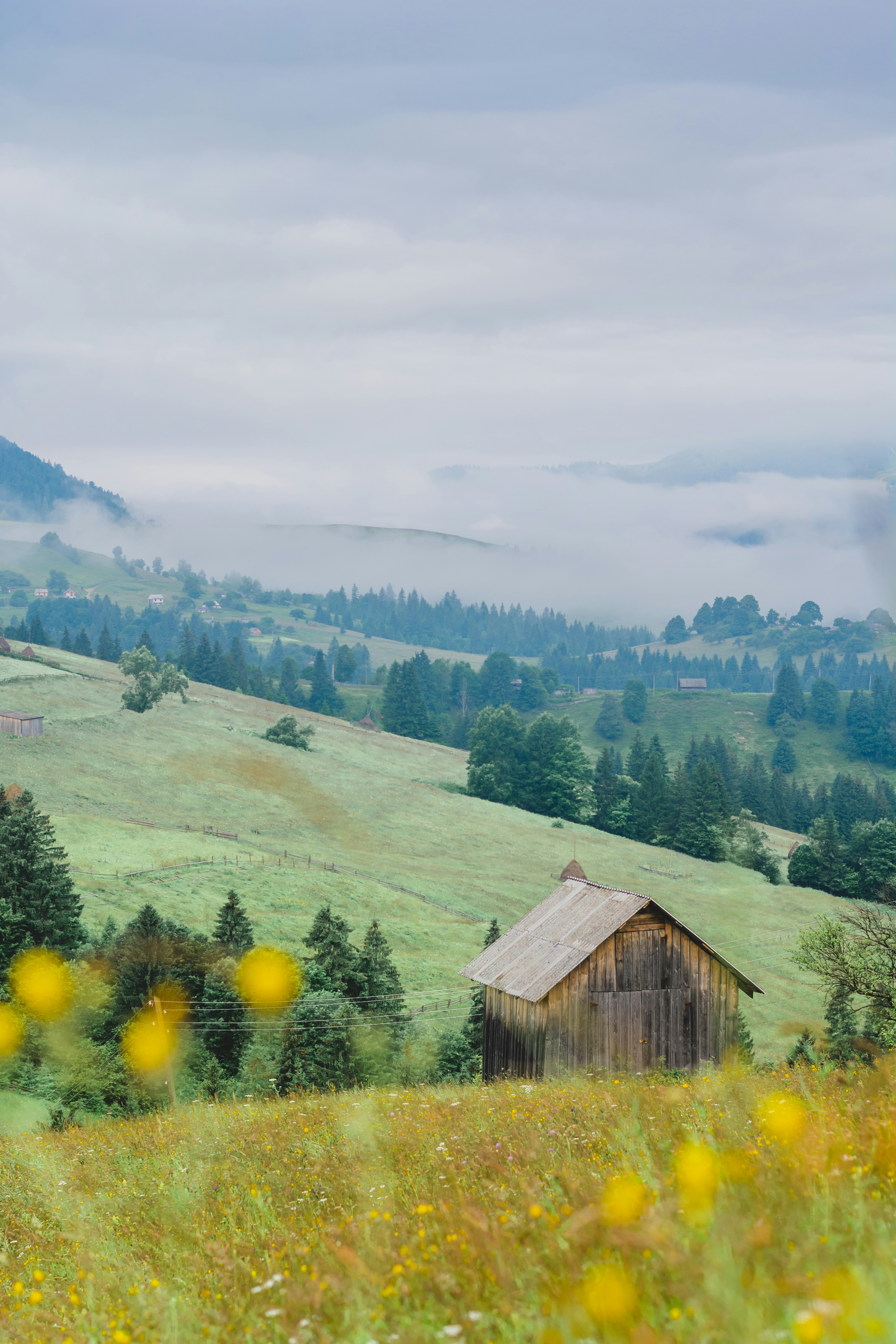 Photo by eugenivy_now