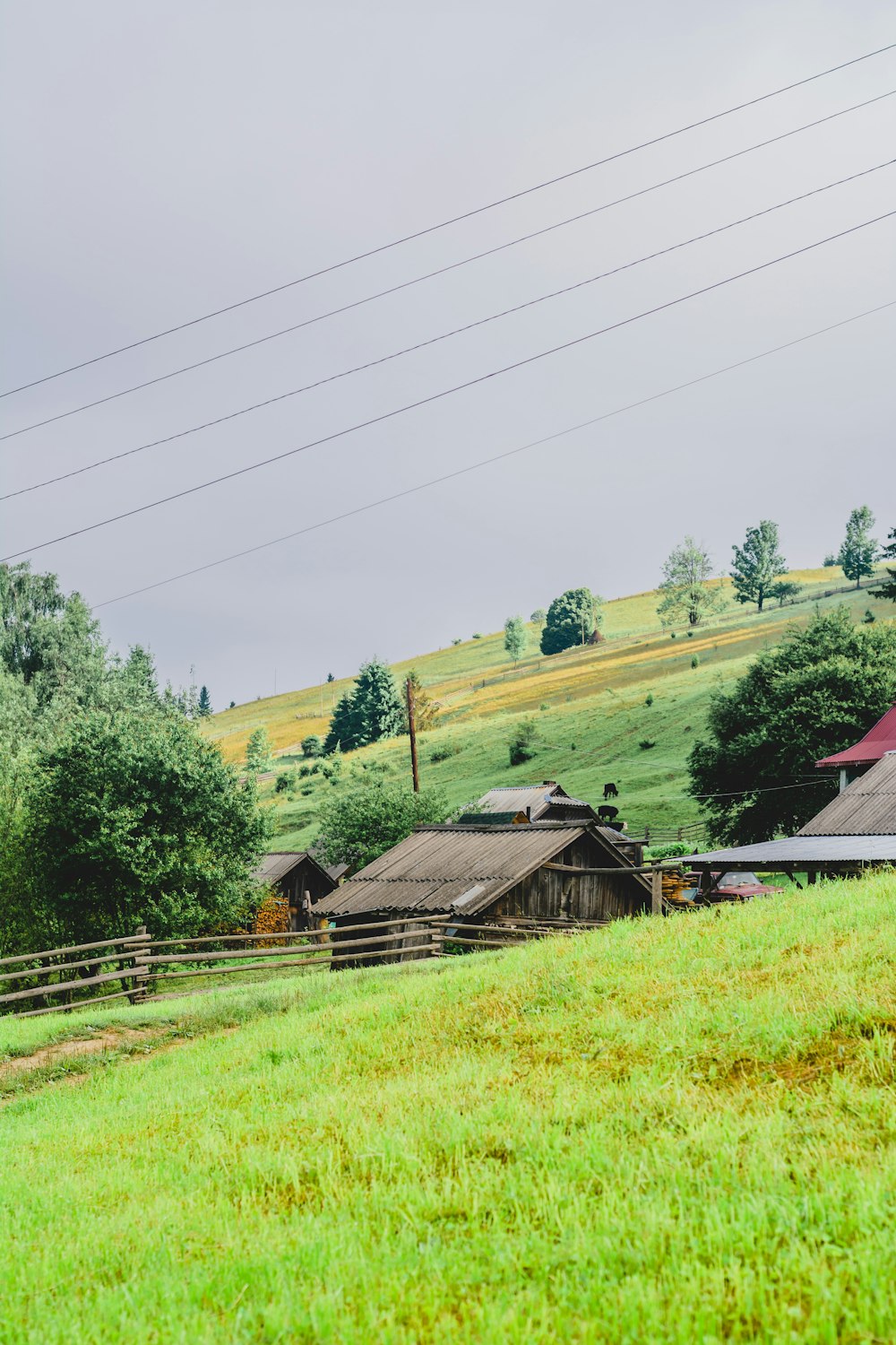 a green field with houses and a fence