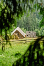 Rustic countryside cottage surrounded by tall trees and a wooden fence.