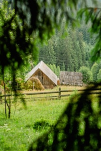 A rustic cottage surrounded by tall trees and a wooden fence.