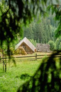 A rustic cottage surrounded by tall trees and a wooden fence.