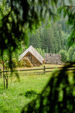 Rustic cottage surrounded by tall trees and a wooden fence.