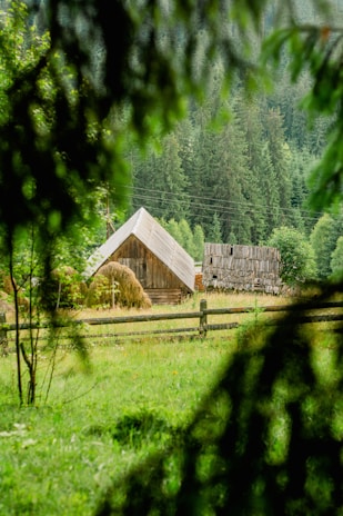 Rustic wooden cabin surrounded by lush green trees at Hotel Pueblo Nuevo.