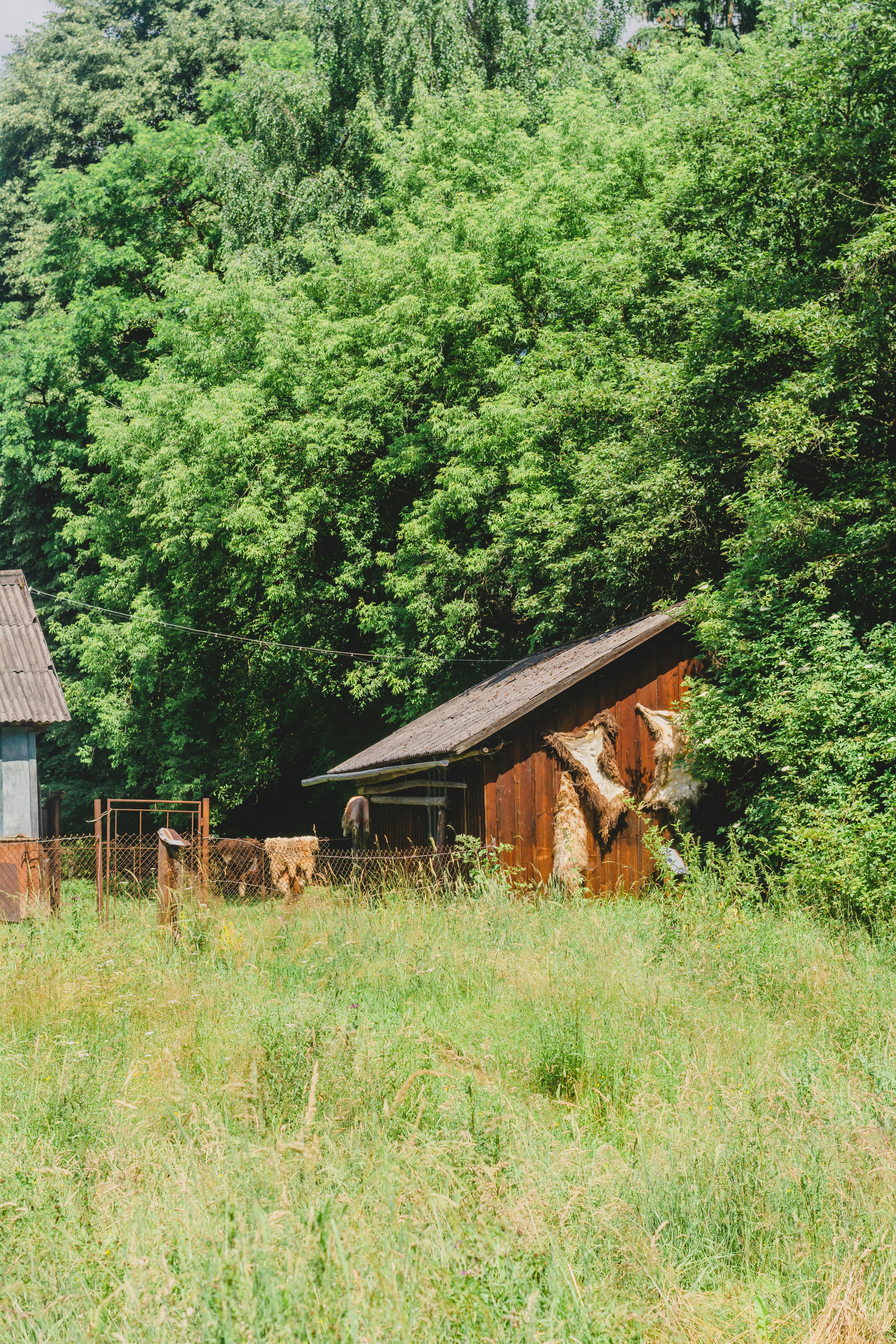 Photo by eugenivy_now