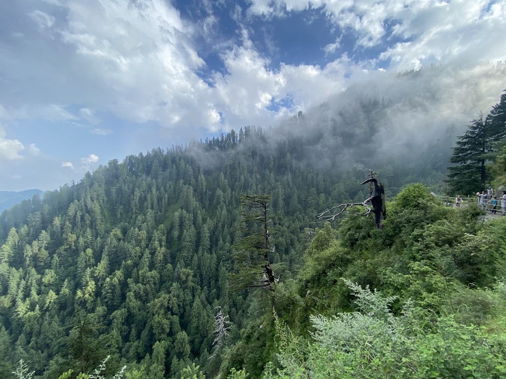 a group of people standing on top of a lush green hillside