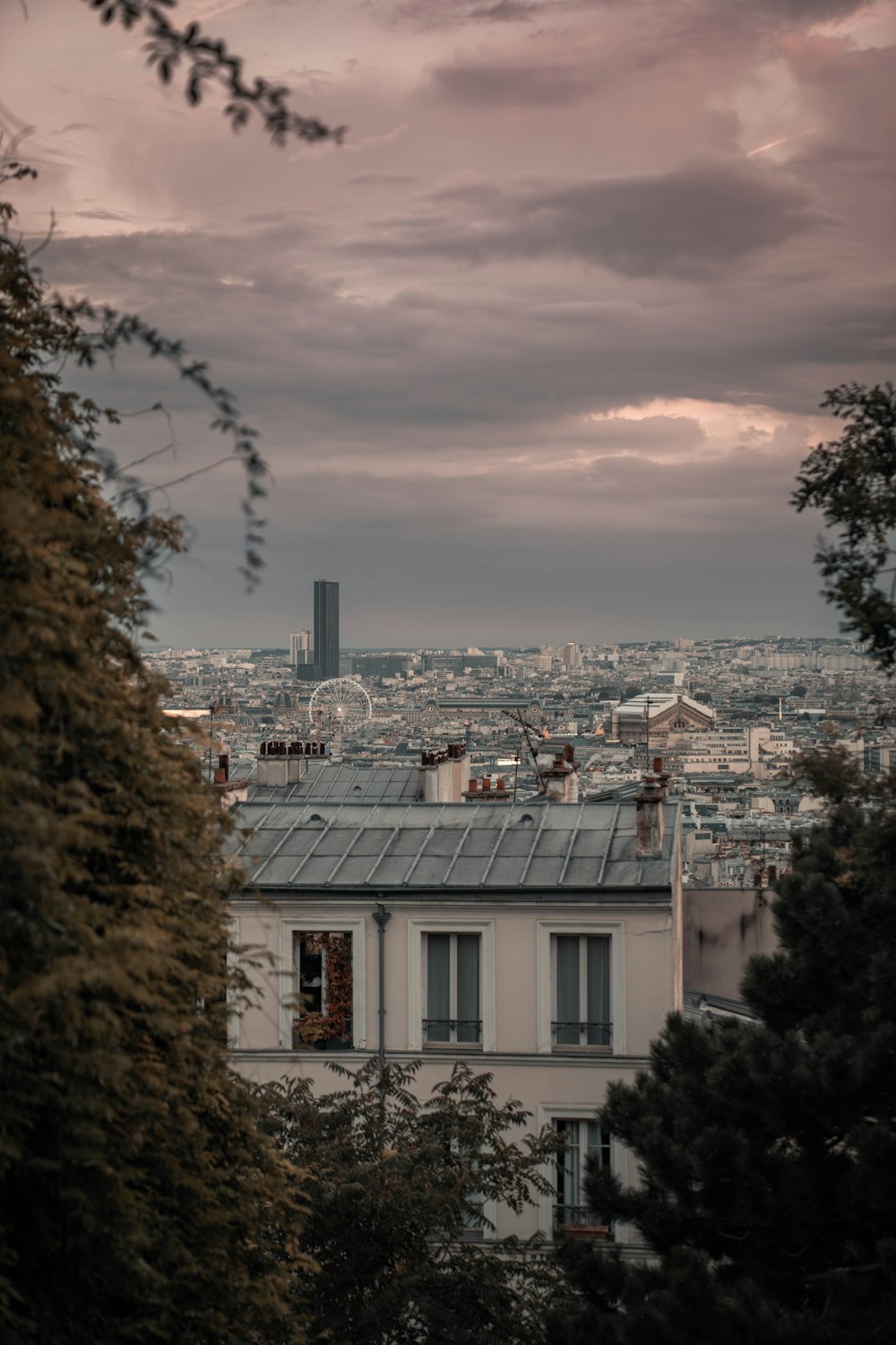 La vista de París desde lo alto de la Torre Eiffel